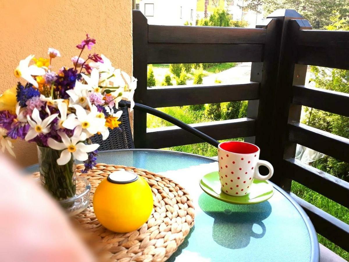 Apartment Banel *